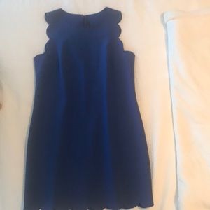 JCrew Scallop Dress Size 8